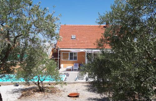 The Olive Garden - Foto 7