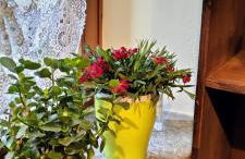 Maison du Soleil- CIR VDA Valtournenche n 0204 - Foto 19