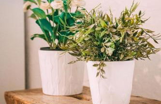 THALASSA New house - Foto 25