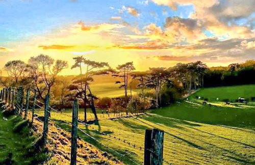 Beachborough Park Summer House - Foto 18