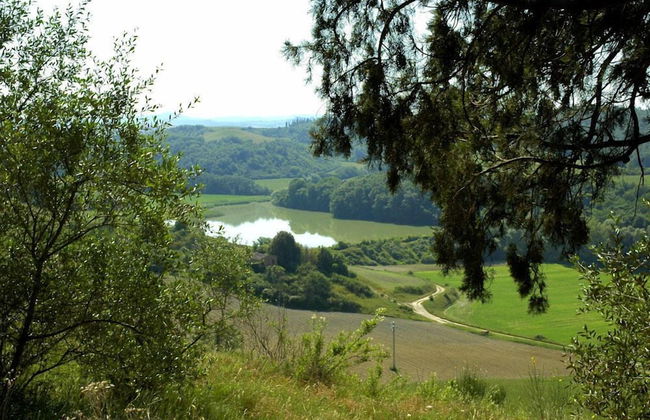 Verdidea - Casalunga - Foto 45