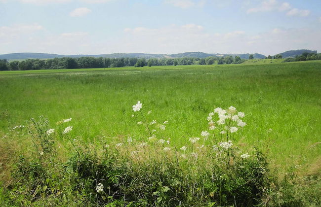 Apartment in Eifel Near Hiking Trails - Foto 41