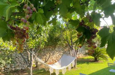 Masseria Vittoria - Foto 79