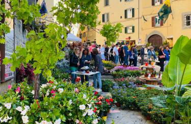 Balcone Fiorito, nel cuore del centro storico di Cortona - Foto 38