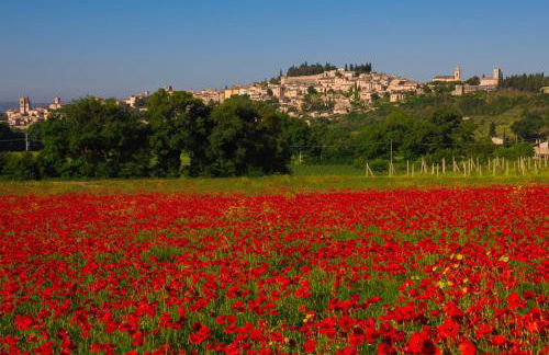 Antica Dimora Julia - Foto 19