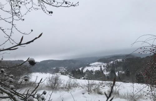 Schwedenhaus Waldkauz - Foto 44