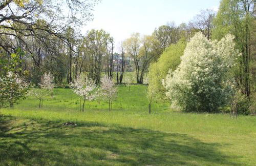 Apfelscheune Cannewitz - Foto 55