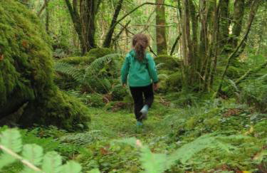 Corralea Cottages - Foto 21