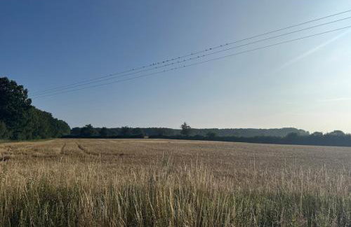 Arglam Lane Farm - 4 bedroom Tranquil Countryside Retreat sleeps 7 - Foto 41