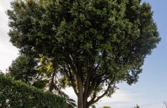 BorgoCuore - Foto 51