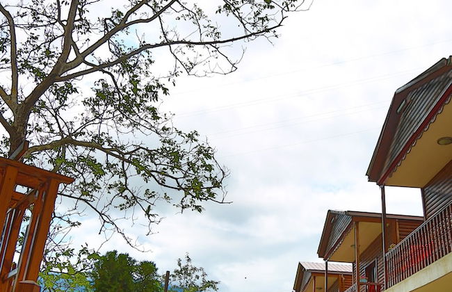 Dergiz Tatil Koyu - Photo 30