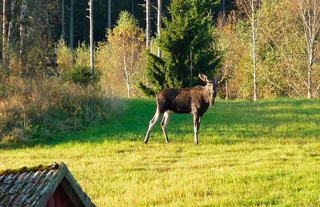 6 Person Holiday Home in Hedekas-by Traum - Foto 23