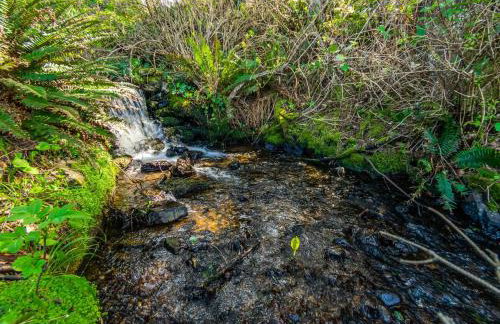 Treasure Rocks - Foto 52