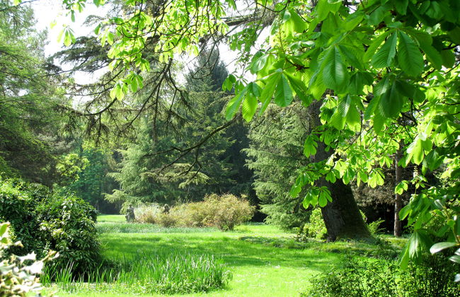 Casa del Ligustro - Foto 3