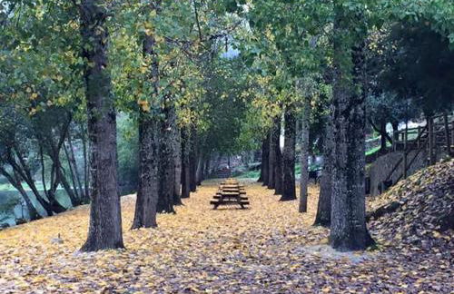 Casa do Alto - Photo 33