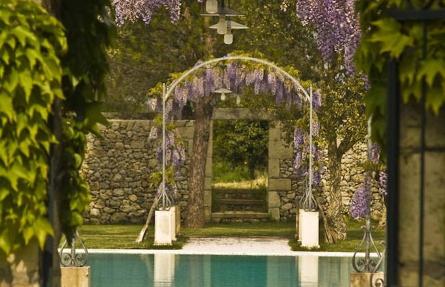 Tenuta Sant'Andrea - Foto 24