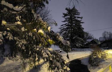 Old house by the stream - Photo 47