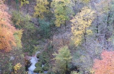 L'Aristoloche - Foto 28