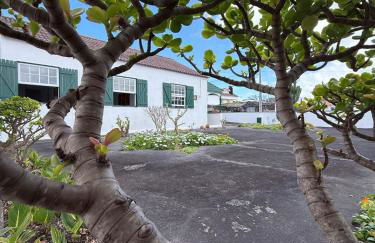 Casa do Cacto - 2 Bedroom Apartment - Photo 17