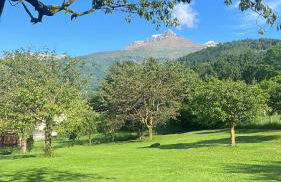 Casa Levis - Foto 13