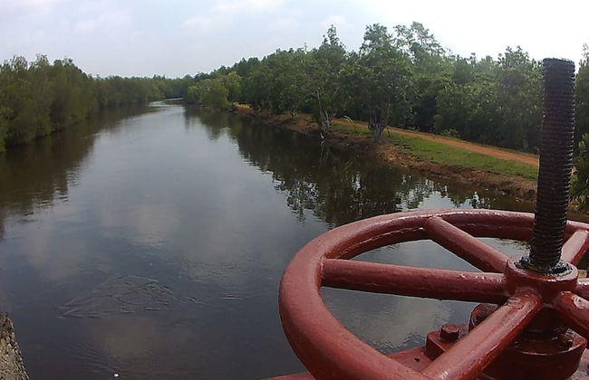 Luxury Villa Costanza - Photo 40