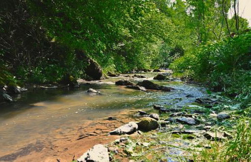 GOŁOSANKA - Domki nad Potokiem - 693-201-038 - Photo 22