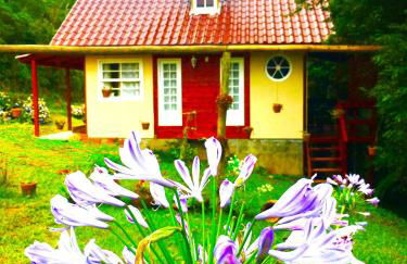 Cabanas dos Sonhos na Serra SC - Foto 55