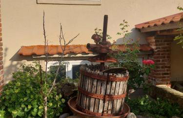 Moderni apartman Tina - Foto 44