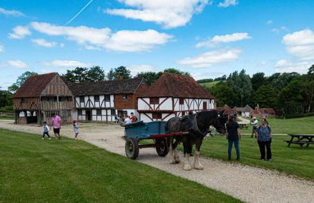 New Bury Cottage near Goodwood - Photo 24
