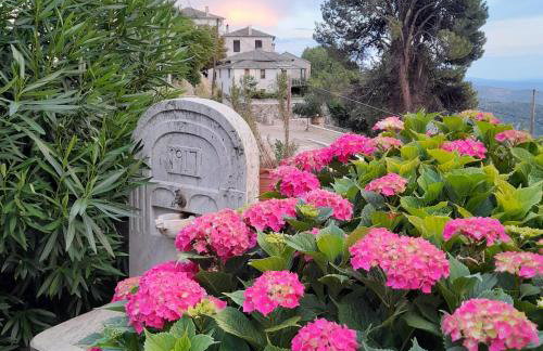 Milies Historic Chalet Pelion - Foto 49