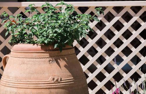 Spiti Prifti Apartments - Photo 38