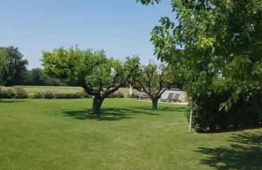 Agriturismo Villa al piano - Foto 61