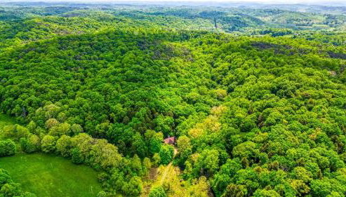 Mercer House - Foto 2