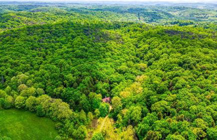 Mercer House - Foto 2