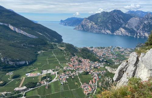 GARDA BALDO APARTMENTS - Photo 18