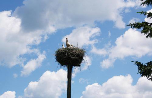 Pod Modrzewiem - Foto 32