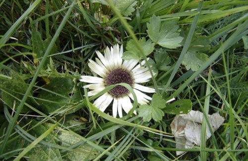 Bad Hindelang - Foto 42