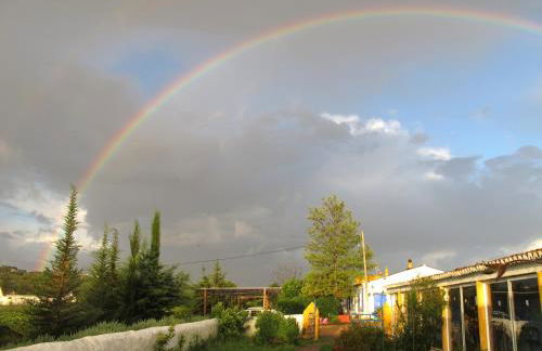 Quinta da Fornalha - Santuario Agroecologico - Foto 16