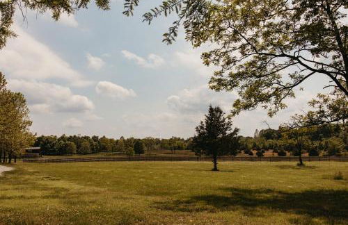 Luxury Log Cabin w Hot Tub Near Carbondale - Foto 12