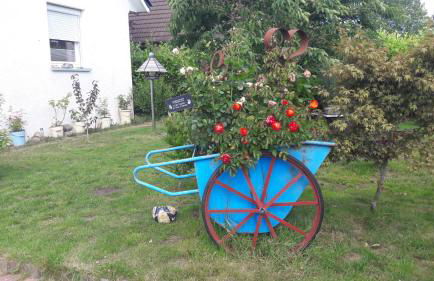 Ferienbungalow FeWo Eutin Süsel Sierksdorf Strand Ostsee - Foto 14