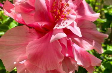 Dielino Amazing Sunset View - Foto 9