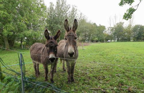 Ratty's Retreat - Foto 18