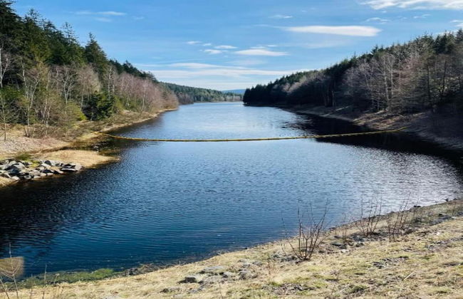 Flat in Zwickau Near August Horch Museum - Foto 25
