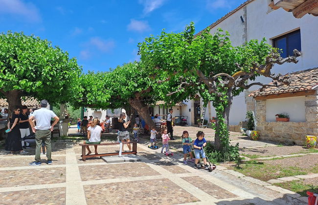 Fattoria Manostalla - Foto 46