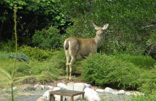 PA Whispering-Pines - Foto 5