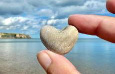 Coastal Apartments No 1 - Photo 43