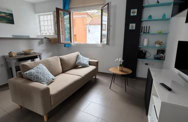 Phoenix Canariensis - Foto 1