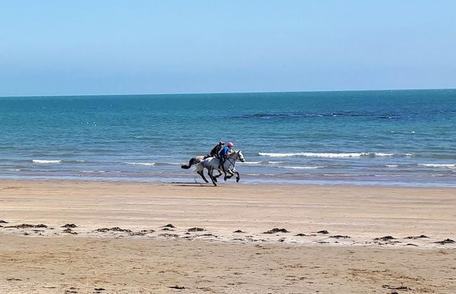 Seaside holiday Apartments - Photo 1