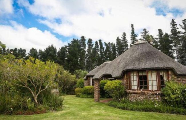 Coral Tree Cottages - Foto 24