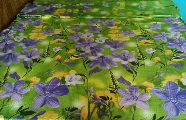 Berkey's Jungle Paradise - Photo 2